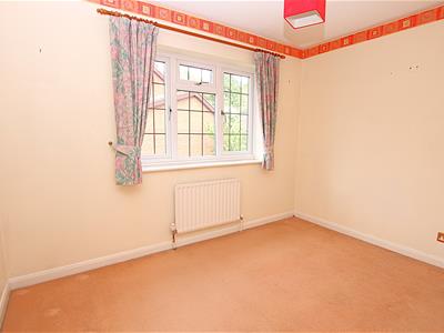Picture 13